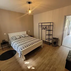 Au Grand Chêne Jolie T3 à 5 Min D'albi Appartement Puygouzon-et-Montsalvy